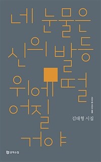 네 눈물은 신의 발등 위에 떨어질 거야 :김태형 시집 