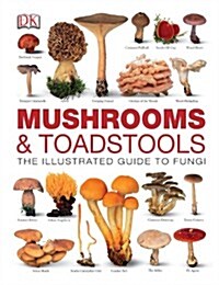 Mushrooms & Toadstools : The Illustrated Guide to Fungi (Hardcover)