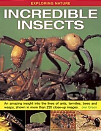 Exploring Nature: Incredible Insects : An Amazing Insight into the Lives of Ants, Termites, Bees and Wasps, Shown in More Than 220 Close-up Images (Hardcover)