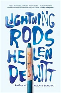 Lightning Rods : Shortlisted for the 2013 Bollinger Everyman Wodehouse Prize for comic fiction (Paperback)