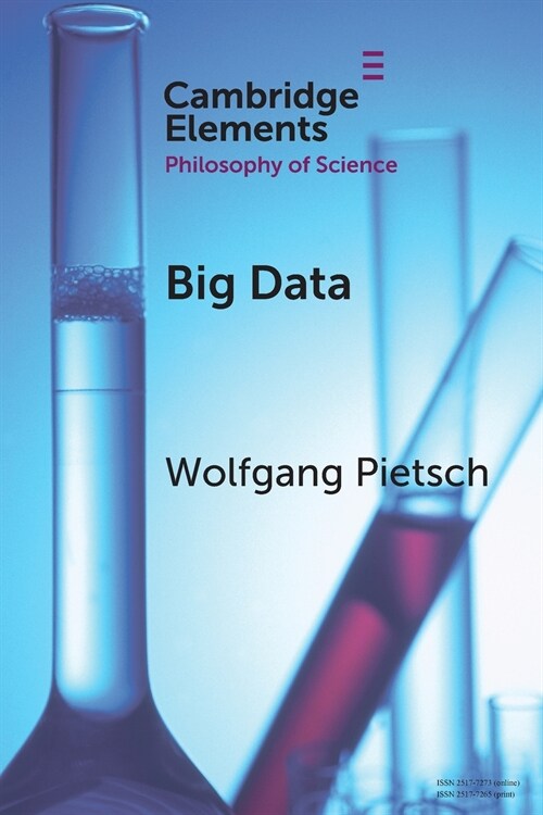 Big Data (Paperback)