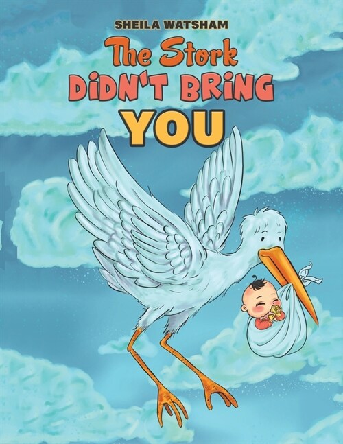 The Stork Didnt Bring You (Paperback)