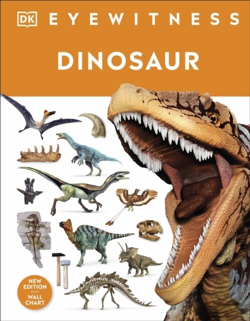 DINOSAUR (Hardcover)