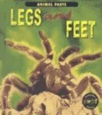 Legs & Feet (Library)