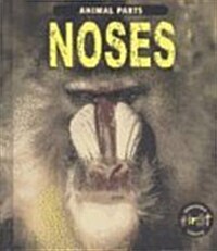 Noses (Library)