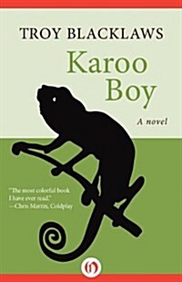 Karoo Boy (Paperback)