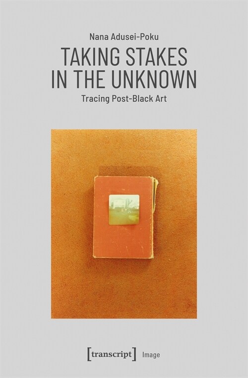 Taking Stakes in the Unknown: Tracing Post-Black Art (Paperback)