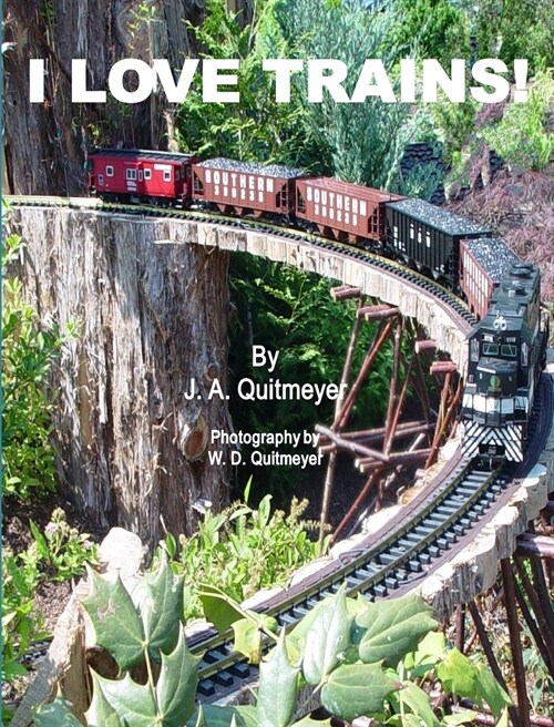 I Love Trains (Hardcover)