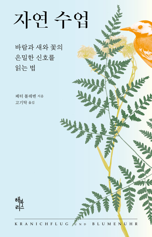 자연 수업 : 바람과 새와 꽃의 은밀한 신호를 읽는 법