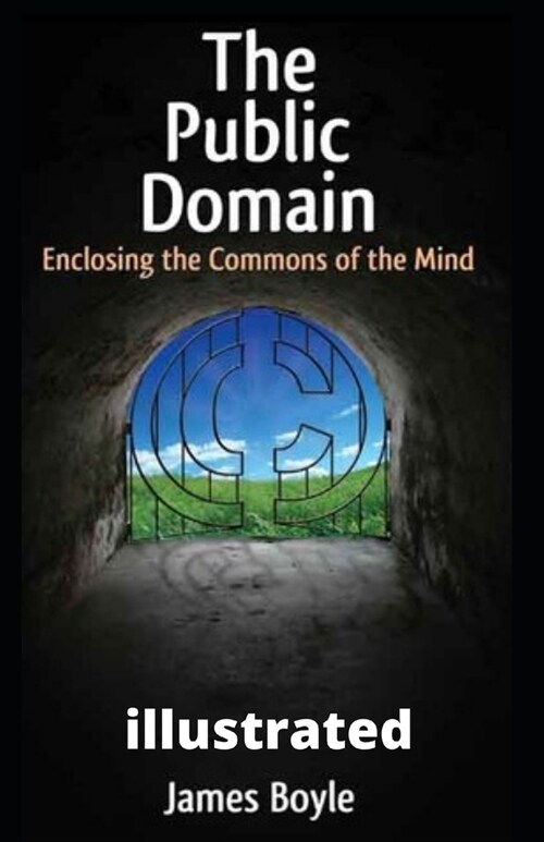 The Public Domain: Enclosing the Commons of the Mind illustrated (Paperback)