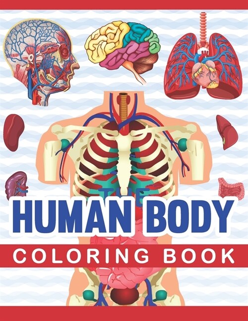 Human Body Coloring Book: Human Body Coloring & Activity Book for kids.Medical Anatomy coloring book for kids boys girls. Human Brain Heart Live (Paperback)