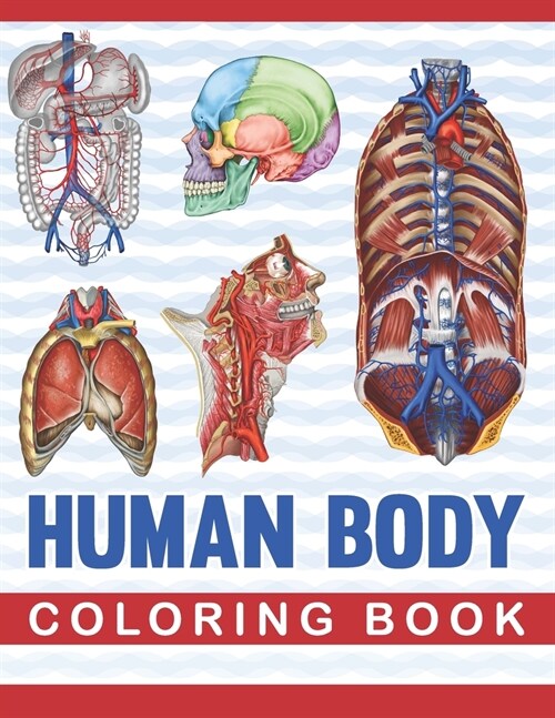 Human Body Coloring Book: Human Body Anatomy Coloring Book For Medical, High School Students. An Entertaining And Instructive Guide To The Human (Paperback)