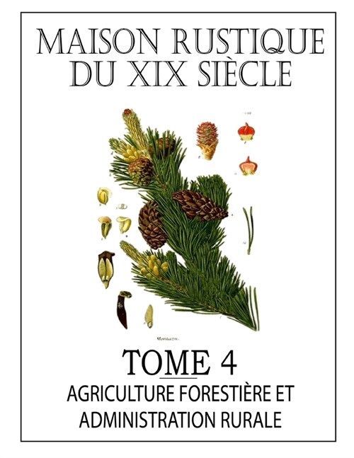 MAISON RUSTIQUE DU XIXe SI?LE - TOME 4: Agriculture Foresti?e, L?islation et Administration Rurale: Encyclop?ie dAgriculture Pratique (Paperback)