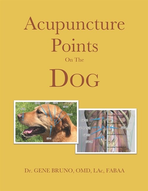 Acupuncture Points on the Dog (Paperback)