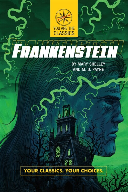 Frankenstein: Your Classics. Your Choices. (Paperback)