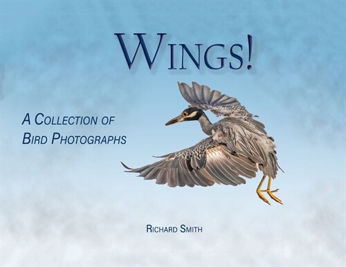 Wings! (Paperback)