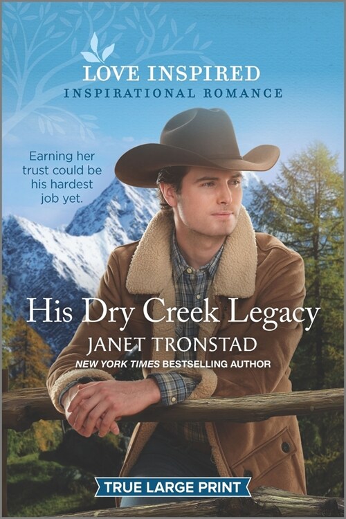 His Dry Creek Legacy (Paperback)