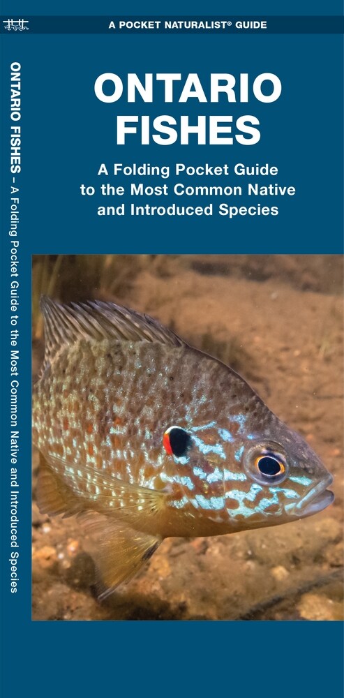 Ontario Fishes: A Folding Pocket Guide to All Known Native and Introduced Species (Paperback)