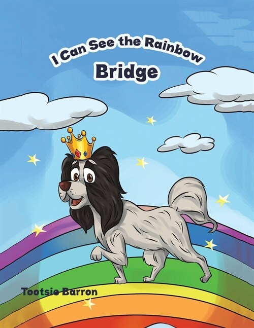 I Can See the Rainbow Bridge (Paperback)