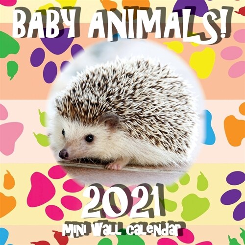 Baby Animals! 2021 Mini Wall Calendar (Paperback)