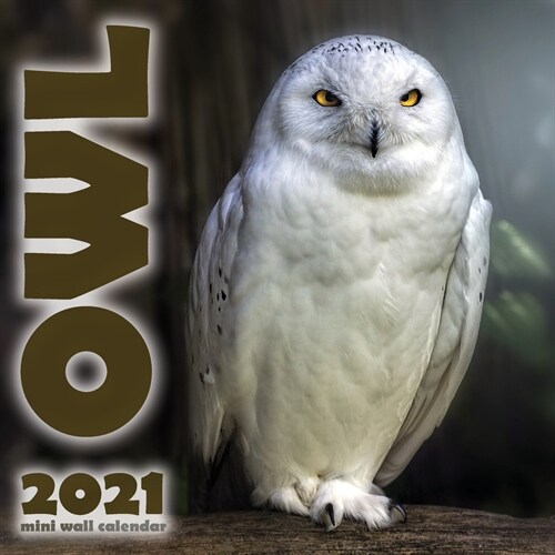 The Owl 2021 Mini Wall Calendar (Paperback)