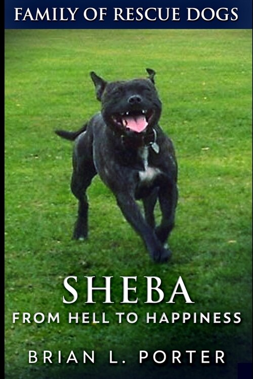 Sheba: Large Print Edition (Paperback)