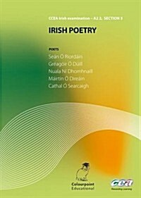 Irish Poetry (Paperback)