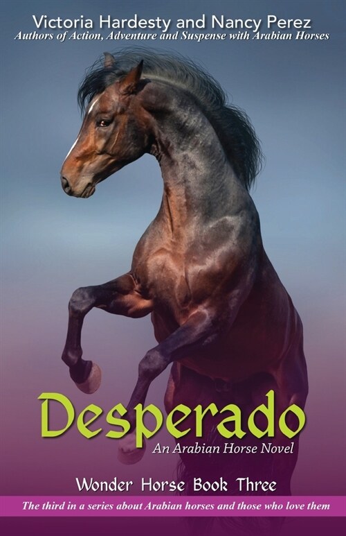 Desperado (Paperback)