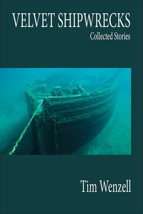 Velvet Shipwrecks: Collected Stories (Paperback)