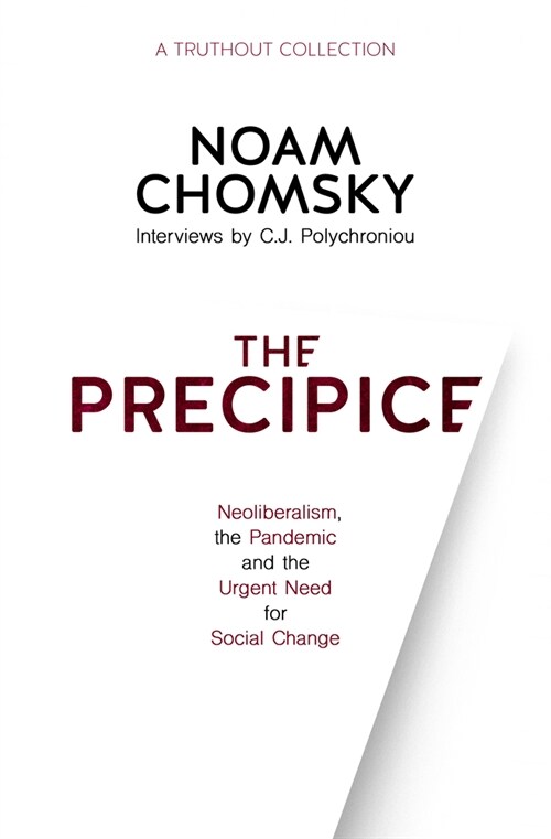 The Precipice: Neoliberalism, the Pandemic and Urgent Need for Social Change (Hardcover)