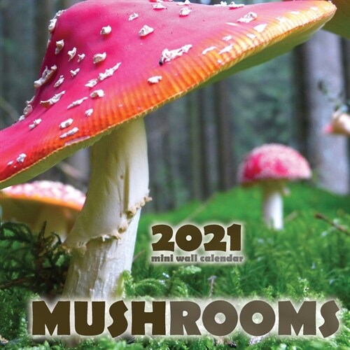 Mushrooms 2021 Mini Wall Calendar (Paperback)