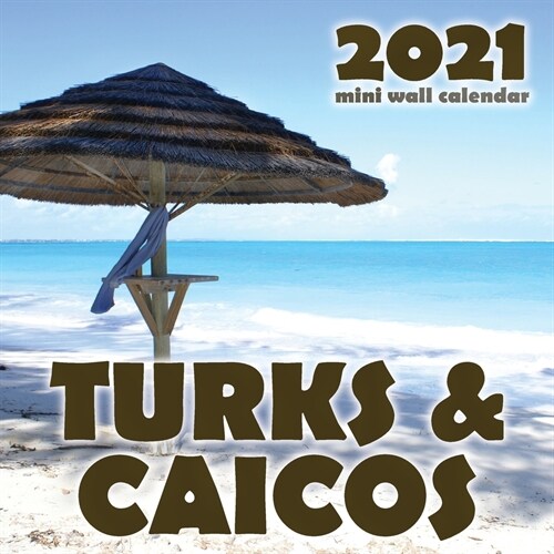 Turks & Caicos 2021 Mini Wall Calendar (Paperback)