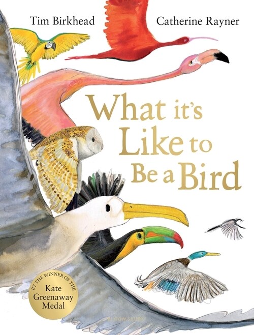 What its Like to be a Bird (Hardcover)