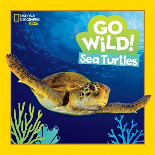 Go Wild! Sea Turtles (Hardcover)