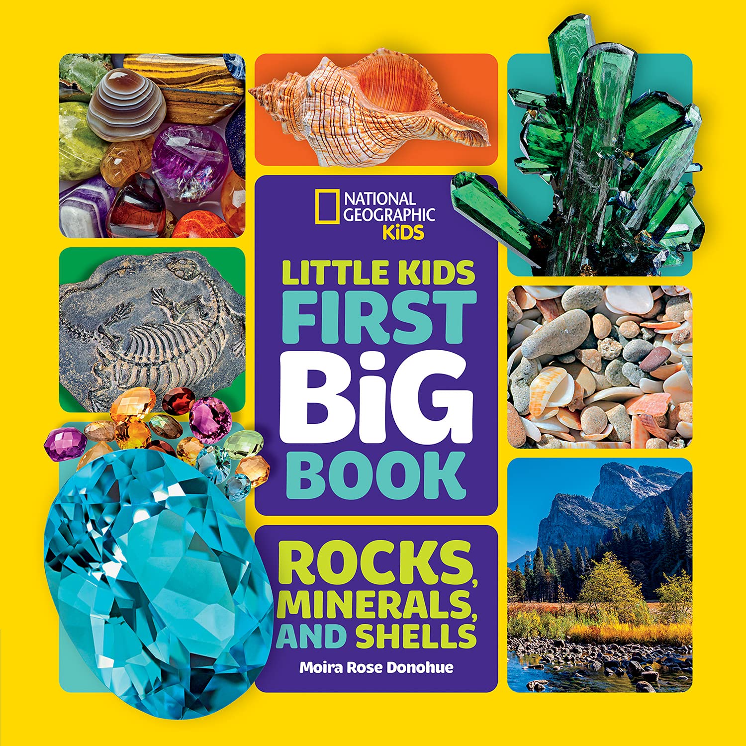 [중고] National Geographic Little Kids First Big Book of Rocks, Minerals & Shells (Hardcover)