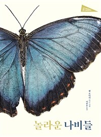 놀라운 나비들