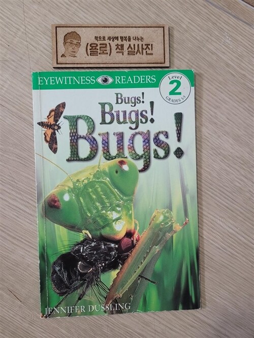 [중고] Bugs! Bugs! Bugs! (Paperback)