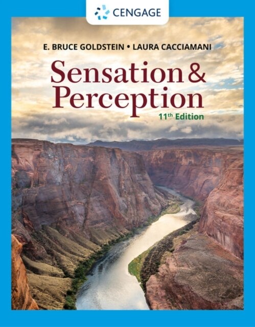 Sensation and Perception (Paperback, 11)