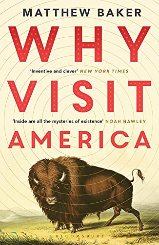 Why Visit America (Paperback)