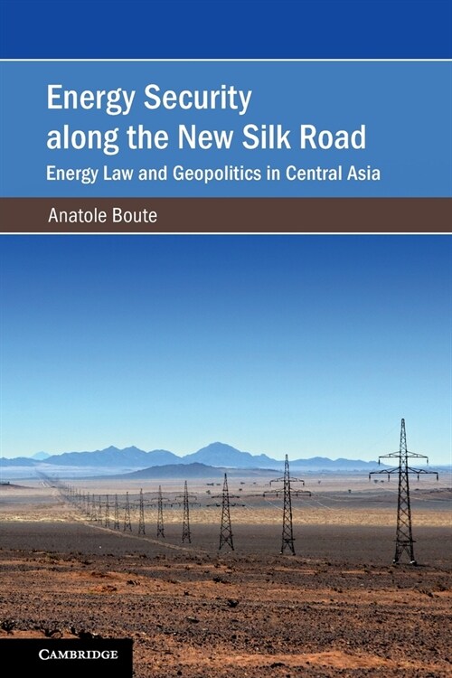 Energy Security along the New Silk Road : Energy Law and Geopolitics in Central Asia (Paperback)
