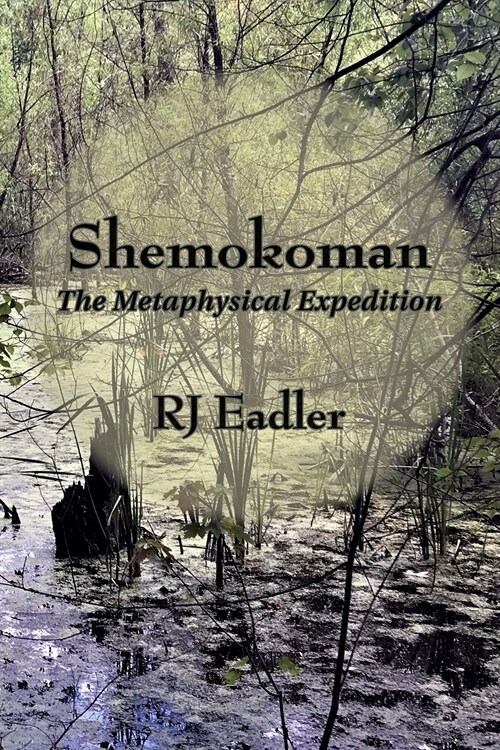 Shemokoman: The Metaphysical Expedition (Paperback)