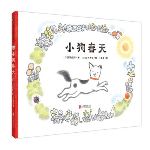 Spring the Dog (Hardcover)