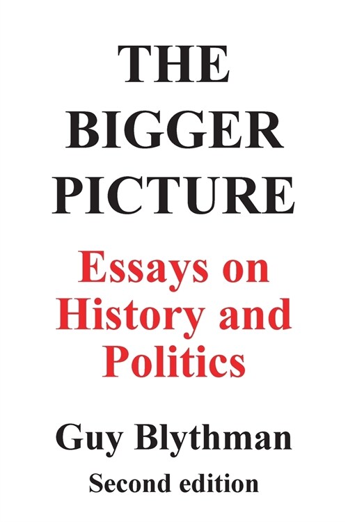 The Bigger Picture: Essays on History and Politics (Second Edition) (Paperback)