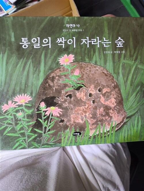 [중고] 통일의 싹이 자라는 숲