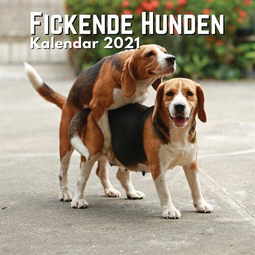 Fickende Hunden: Kalender 2021: Kalender 2021 Hunde Lustig - Geschenk f? Hundeliebhaber - Frauen, M?ner (Paperback)