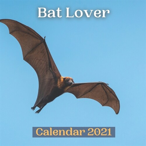 Bat Lover Calendar 2021 (Paperback)