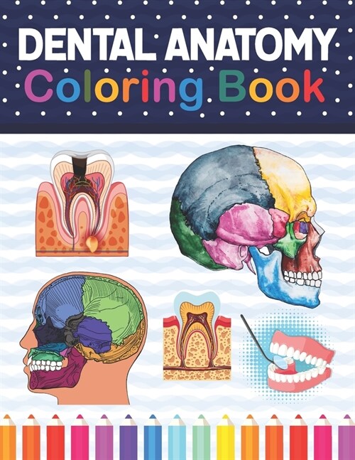 Dental Anatomy Coloring Book: Fun and Easy Adult Coloring Book for Dental Assistants, Dental Students, Dental Hygienists, Dental Therapists, Periodo (Paperback)