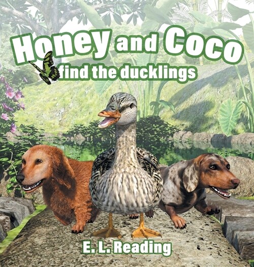 Honey and Coco find the ducklings (Hardcover)