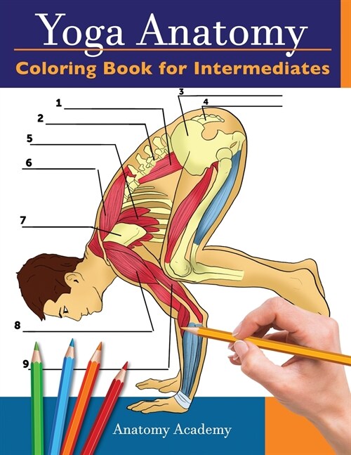 Yoga Anatomy Coloring Book for Intermediates: 50+ Incredibly Detailed Self-Test Intermediate Yoga Poses Color workbook Perfect Gift for Yoga Instructo (Paperback)