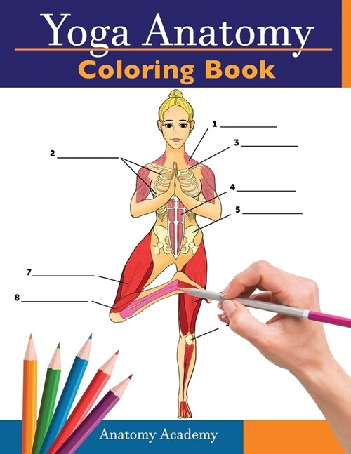 Yoga Anatomy Coloring Book: 3-in-1 Collection Set 150+ Incredibly Detailed Self-Test Beginner, Intermediate & Expert Yoga Poses Color workbook (Paperback)